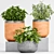 Botanical Bliss: Decorative Planter Set 3D model small image 3