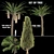 Trio Tree Set: Palm & Pine 3D model small image 1