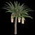 Trio Tree Set: Palm & Pine 3D model small image 2