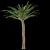 Trio Tree Set: Palm & Pine 3D model small image 3