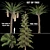 Trio Tree Set: Palm & Pine 3D model small image 7