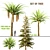 Trio Tree Set: Palm & Pine 3D model small image 8