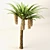Trio Tree Set: Palm & Pine 3D model small image 9