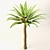 Trio Tree Set: Palm & Pine 3D model small image 10