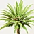 Trio Tree Set: Palm & Pine 3D model small image 11