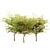 Set of Acer Negundo Trees 3D model small image 2