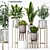 Elegant Plant Set for Home 3D model small image 1