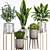 Elegant Plant Set for Home 3D model small image 3