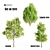 Nature's Trio: Laurus, Acacia & Sorrel Trees 3D model small image 1