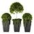 Artificial Boxwood Topiary - Set 75 3D model small image 2