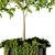 Artificial Boxwood Topiary - Set 75 3D model small image 4