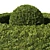 Evergreen Buxus Sempervirens Shrub 3D model small image 3