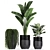 Exotic Plant Collection: Indoor and Outdoor Beauties 3D model small image 4