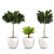  3D Plant Collection: Variety and Quality 3D model small image 1