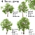 Premium White Oak Tree Set (4 Trees) 3D model small image 1