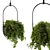 Vibrant Hanging Box Plant Set 3D model small image 1