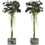 Modern Plant Collection: Schefflera Arboricola 3D model small image 1