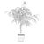 Ficus Ali: Stunning 3D Plant 3D model small image 2