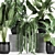 Exotic Plant Collection: Banana Palm, Ravenala, Calathea Lutea 3D model small image 2