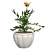 Marigold Bloom: Hand-painted Potted Beauty 3D model small image 2