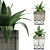 Agave Collection: Clean Geometry, Detailed Texture 3D model small image 1