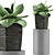 96 Agave Plant Collection: Clean Geometry, Perfect for Detail 3D model small image 1