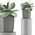 96 Agave Plant Collection: Clean Geometry, Perfect for Detail 3D model small image 4