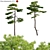 Taiwan Red Pine 3D Models 3D model small image 1