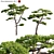 Taiwan Red Pine 3D Models 3D model small image 1
