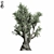  Majestic Olive Tree Sculpture 3D model small image 3