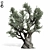  Majestic Olive Tree Sculpture 3D model small image 4
