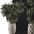 Modern Plant Collection - Outdoor & Exterior Greenery 3D model small image 3