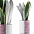 Geometry Collection: Sansevieria 98 3D model small image 3