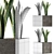 Modern Agave Plant Collection 3D model small image 4