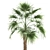 Exotic Palm Collection: Livistona, Coccothrinax, Thrinax 3D model small image 3