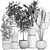 Exotic Plant Collection in Black Pots 3D model small image 5