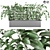 Elegant Ficus Elastica Plant 3D model small image 1