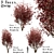 Scenic Trio: Red Maple Trees (3 Trees) 3D model small image 1