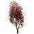 Scenic Trio: Red Maple Trees (3 Trees) 3D model small image 4