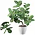 Exquisite Ficus Benghalensis: 3D Plant Collection 3D model small image 1
