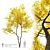 Autumn Ash Tree - Beautiful Fraxinus pennsylvanica 3D model small image 1