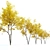 Autumn Ash Tree - Beautiful Fraxinus pennsylvanica 3D model small image 2