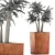Desert Chic: Mediterranean Plant Collection 3D model small image 3