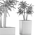 Desert Chic: Mediterranean Plant Collection 3D model small image 5