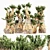 5 Bristlecone Pines - Stunning Tree Collection 3D model small image 1