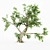 Title: Botanical Beauty: 5 Broadleaf Tree Collection 3D model small image 4