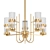 Elegant Antique Bronze Glass Chandelier 3D model small image 1