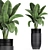 Exotic Banana Palm in Black Vase 3D model small image 1