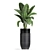 Exotic Banana Palm in Black Vase 3D model small image 4