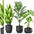 Exotic Palm Majesty & Alocasia Plant Set 3D model small image 1